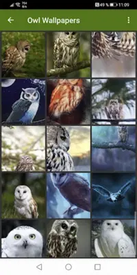 Owl Wallpapers android App screenshot 1