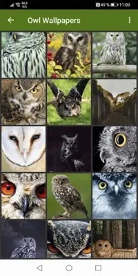 Owl Wallpapers android App screenshot 3